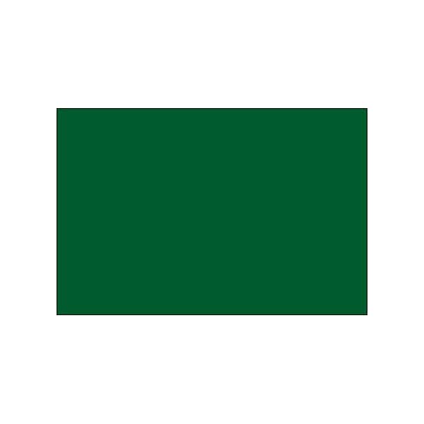 Bsc Preferred 3 x 6'' Green Inventory Rectangle Labels BUY00025568 - main